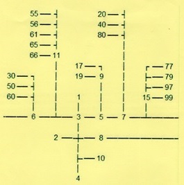 getallenboom-ne-6