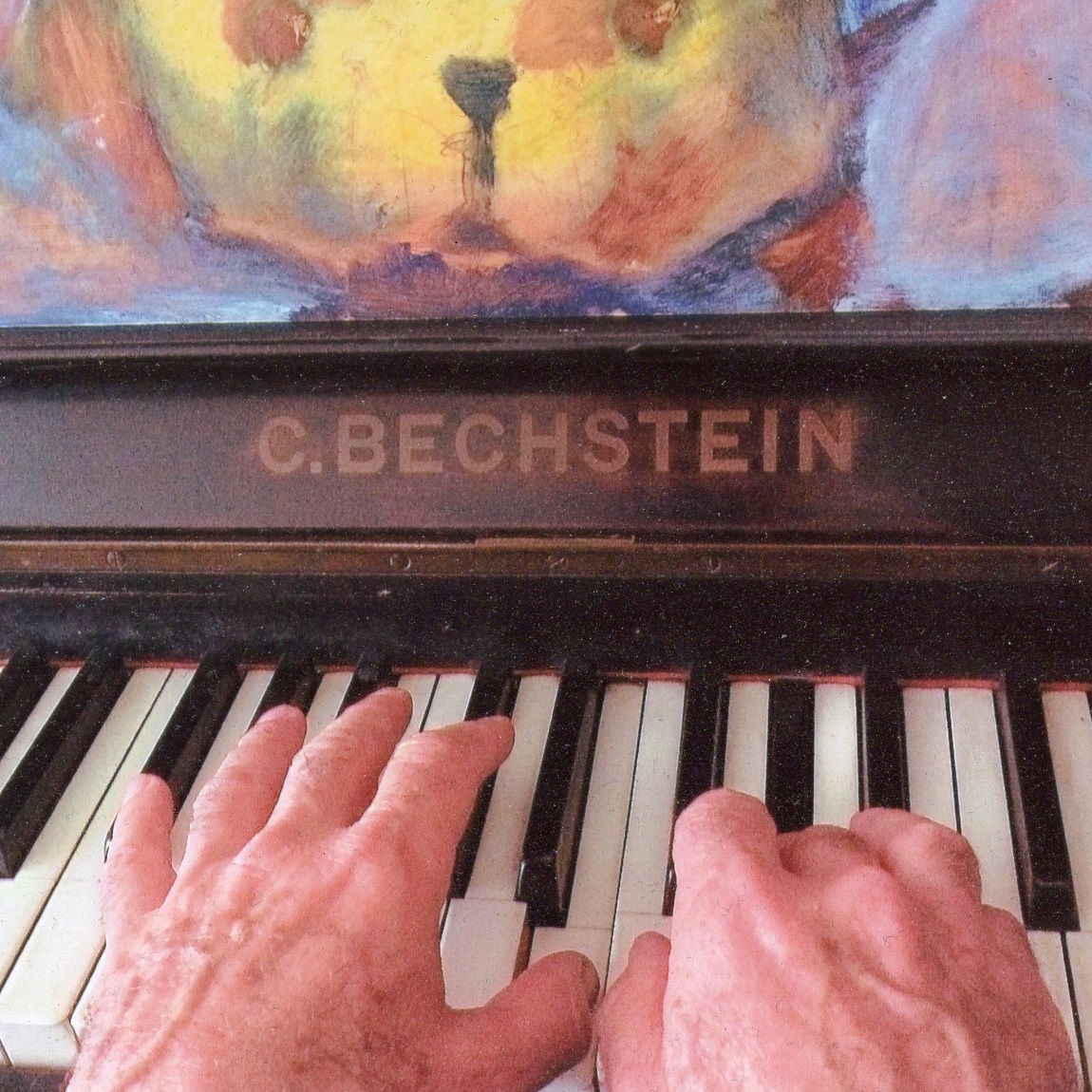 bechstein-4.jpg